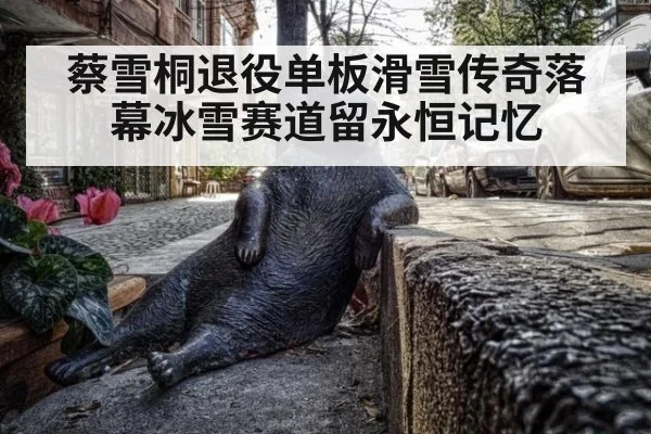 蔡雪桐退役单板滑雪传奇落幕冰雪赛道留永恒记忆