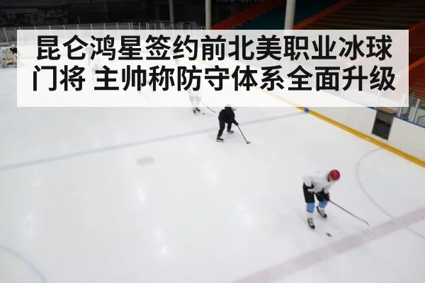 ice hockey rink