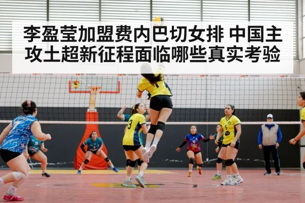 volleyball match arena